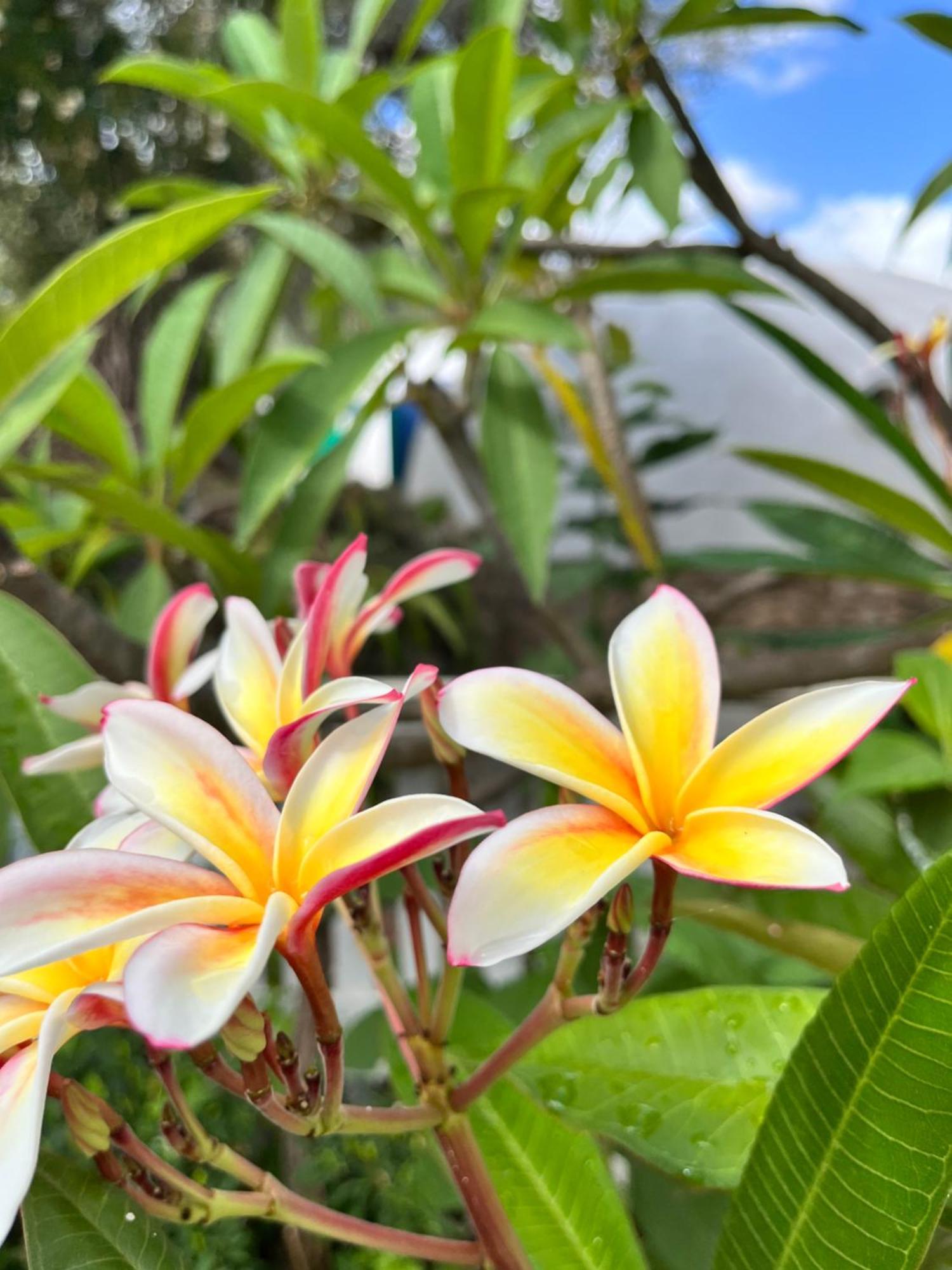 Casa de Campo Giardino Di Sicilia