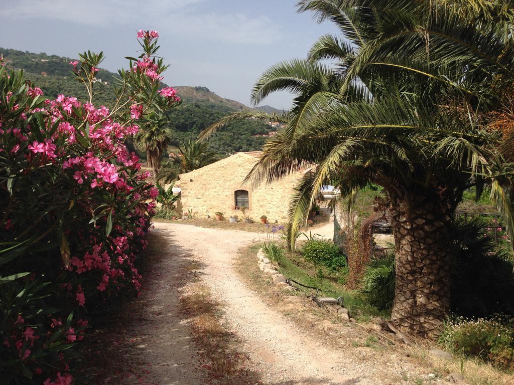 Giardino Di Sicilia *